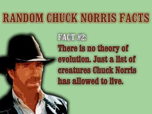 8de6c_chuck-norris-evolution.jpg