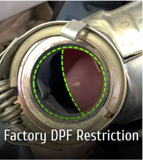 dpf1.JPG